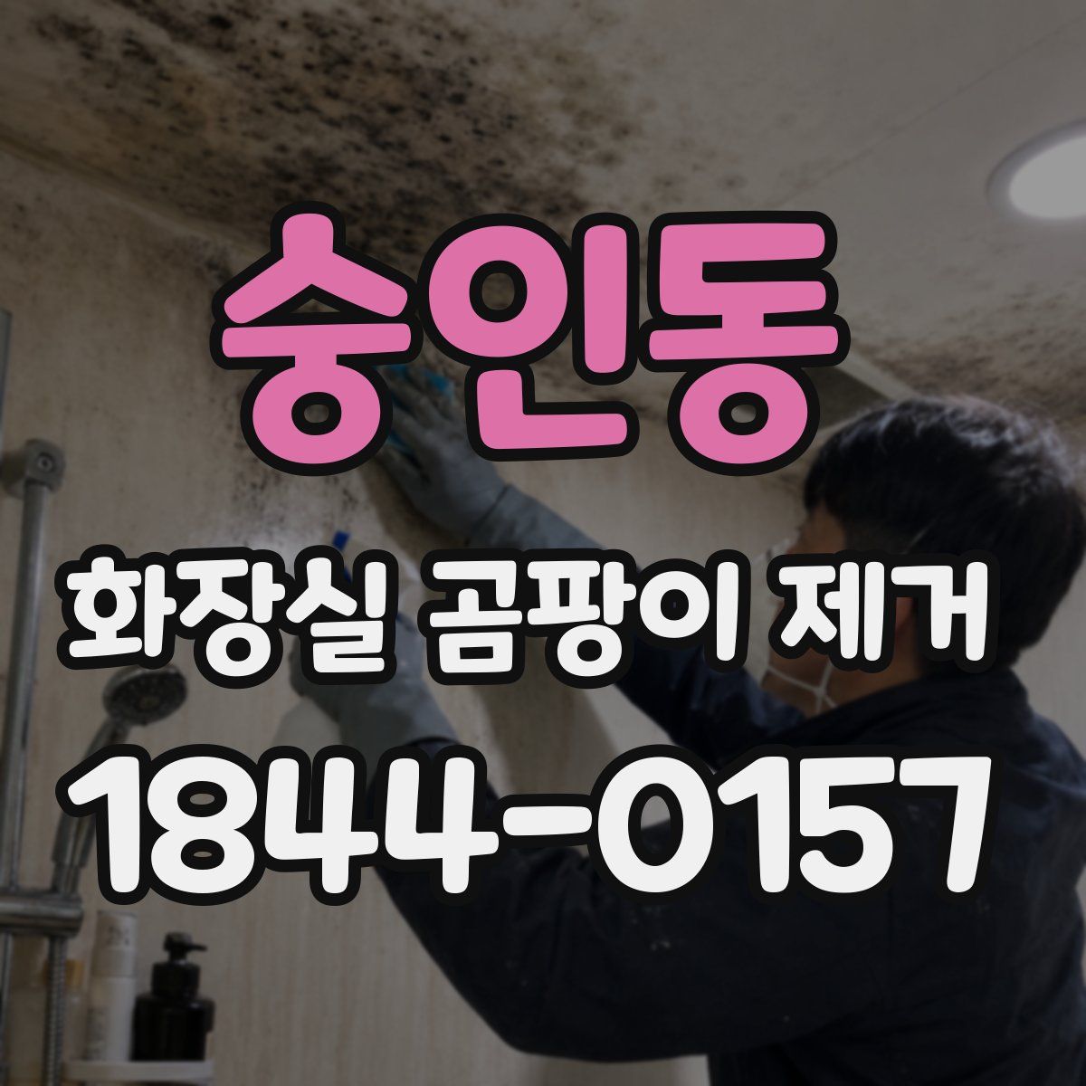 숭인동 화장실 곰팡이 제거