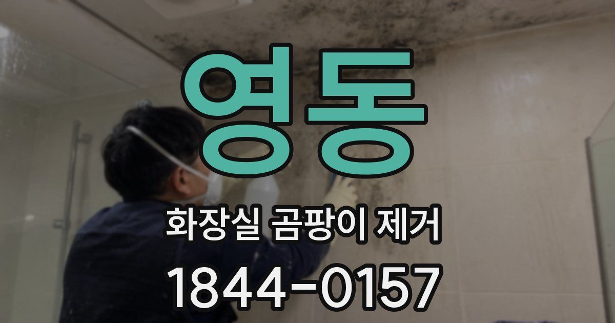 영동 화장실 곰팡이 제거