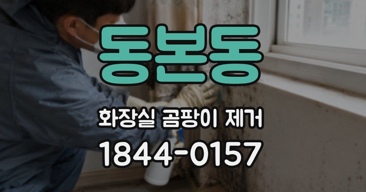 동본동 화장실 곰팡이 제거