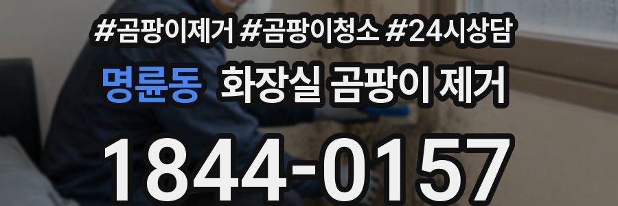 명륜동 화장실 곰팡이 제거