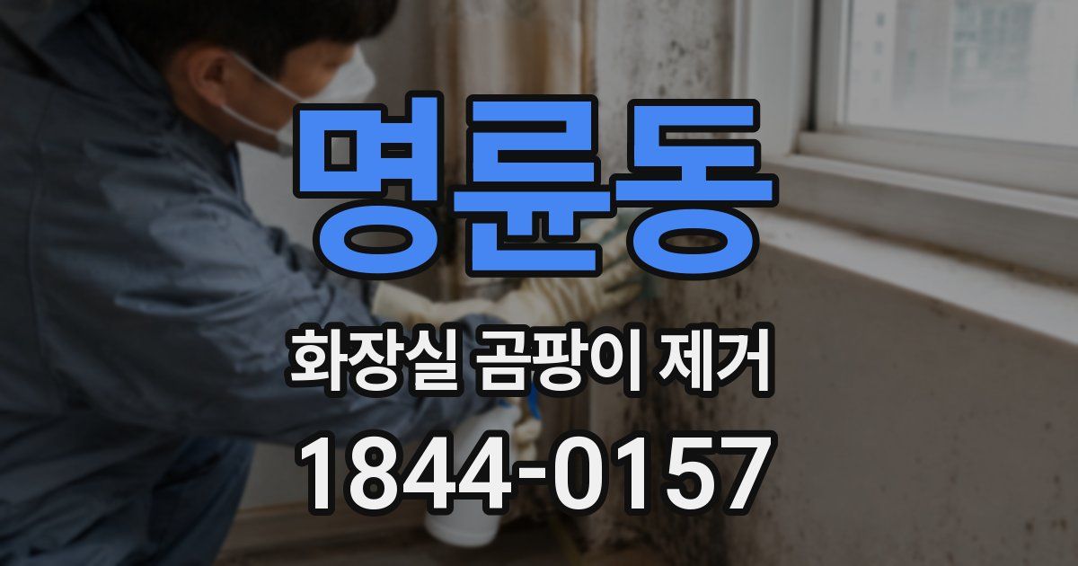 명륜동 화장실 곰팡이 제거