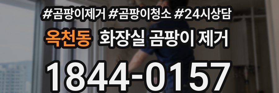 옥천동 화장실 곰팡이 제거
