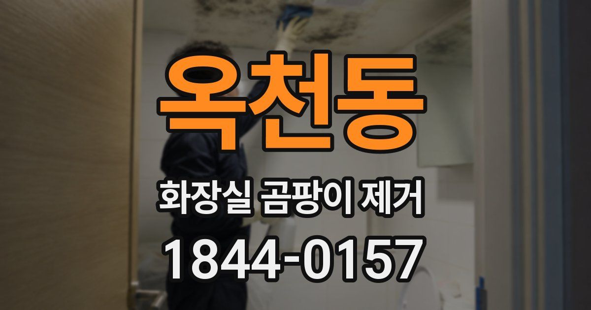 옥천동 화장실 곰팡이 제거