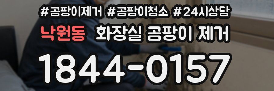 낙원동 화장실 곰팡이 제거