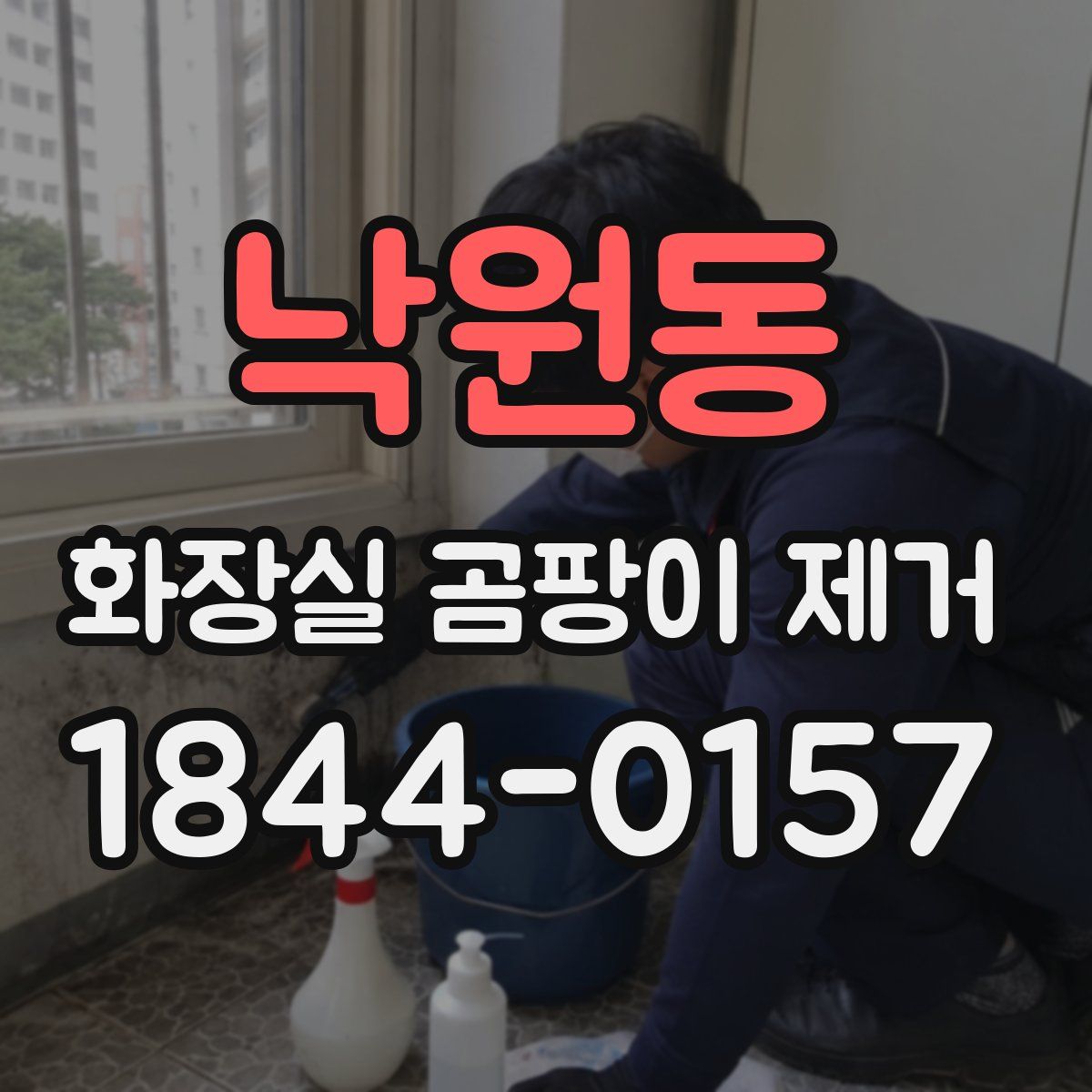 낙원동 화장실 곰팡이 제거