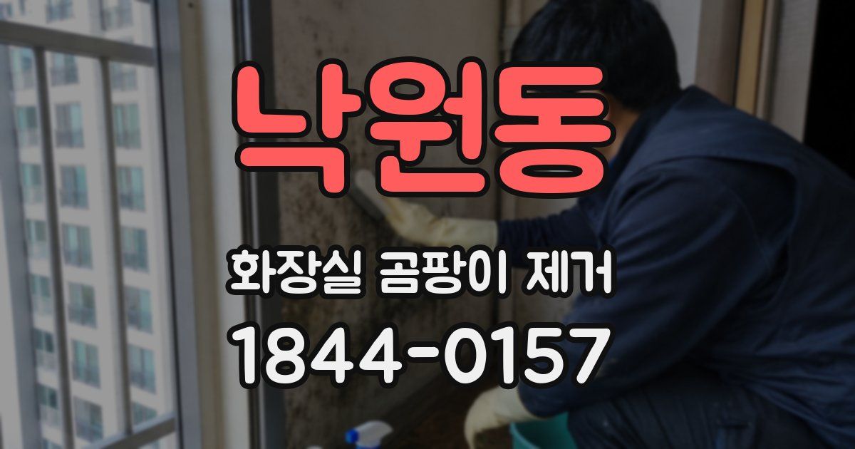 낙원동 화장실 곰팡이 제거