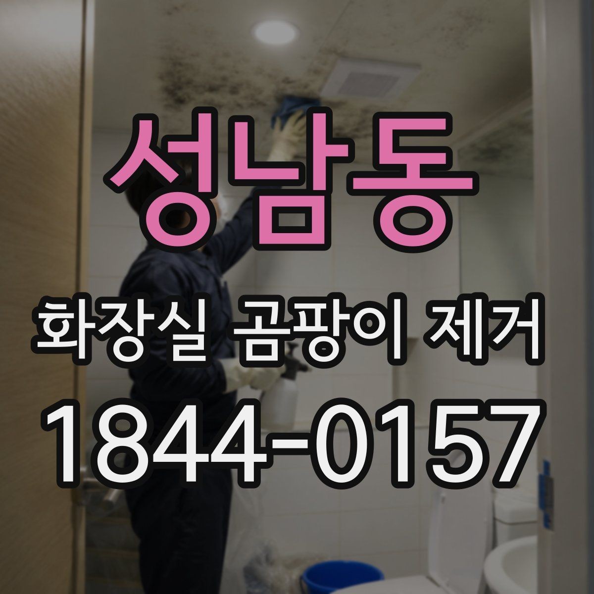 성남동 화장실 곰팡이 제거 아이와 반려동물 안전까지 챙기기