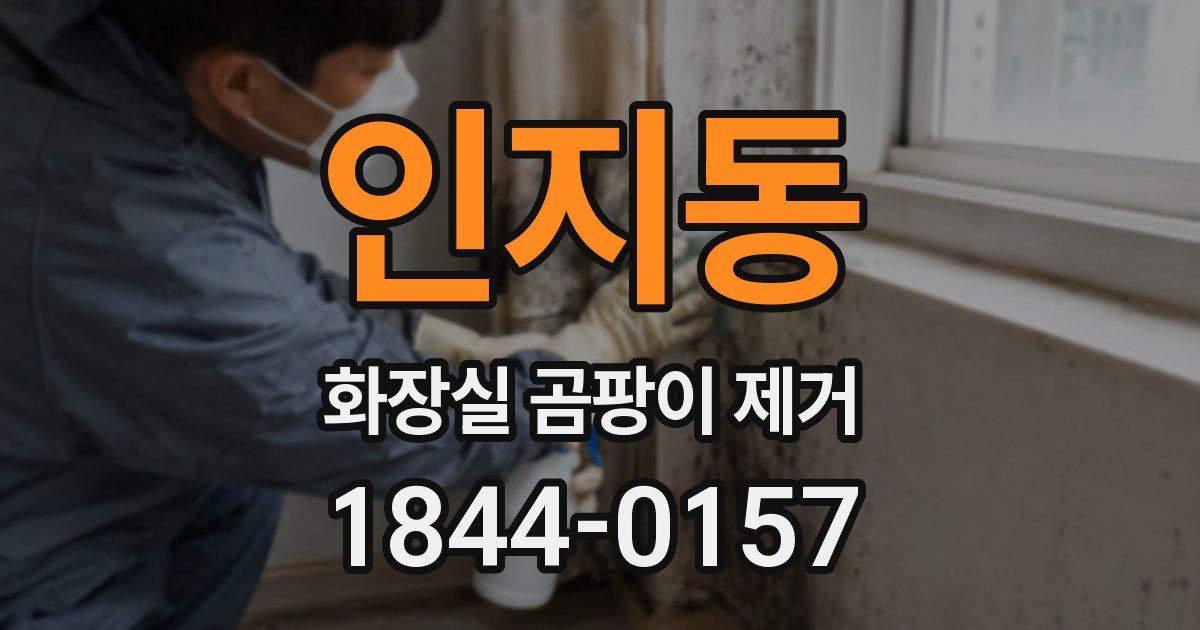인지동 화장실 곰팡이 제거