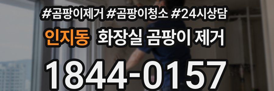 인지동 화장실 곰팡이 제거