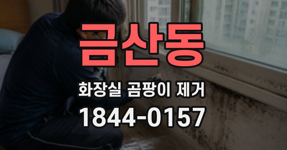 금산동 화장실 곰팡이 제거
