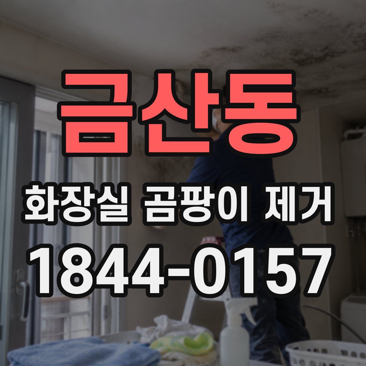 금산동 화장실 곰팡이 제거