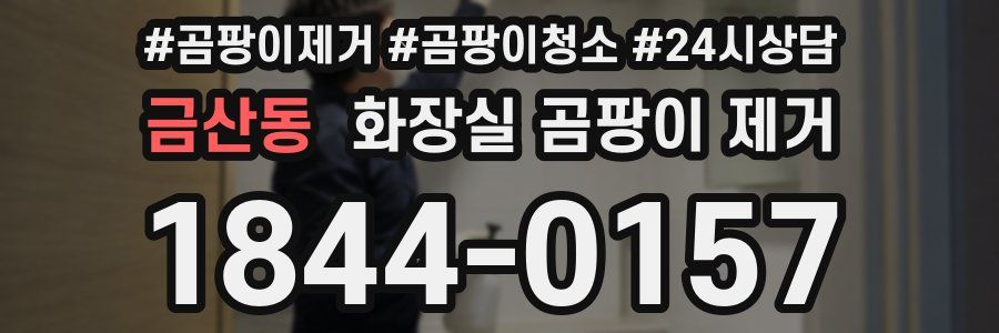 금산동 화장실 곰팡이 제거