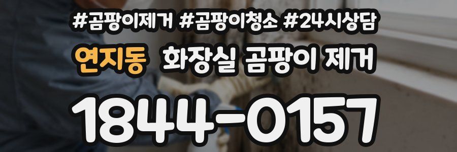 연지동 화장실 곰팡이 제거