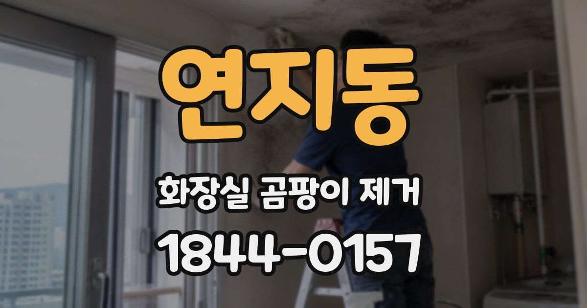연지동 화장실 곰팡이 제거