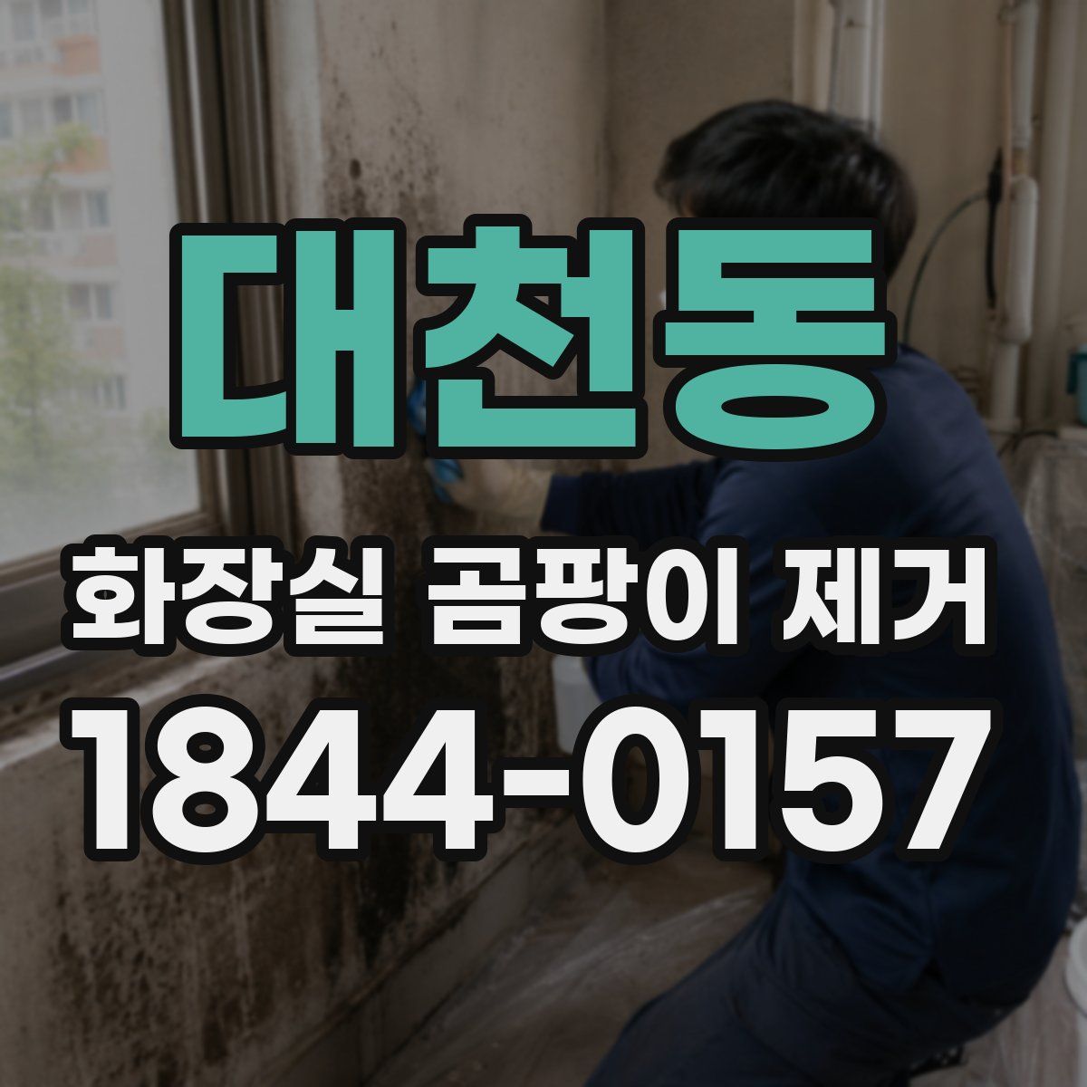 대천동 화장실 곰팡이 제거
