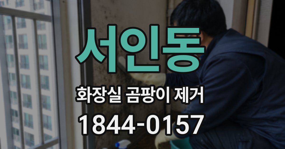 서인동 화장실 곰팡이 제거