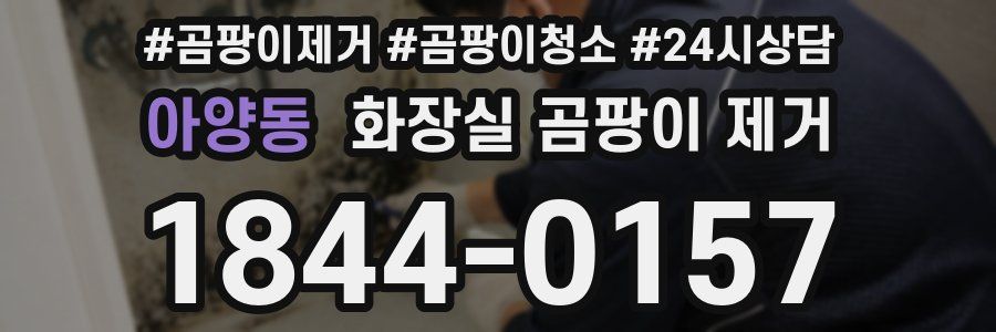 아양동 화장실 곰팡이 제거