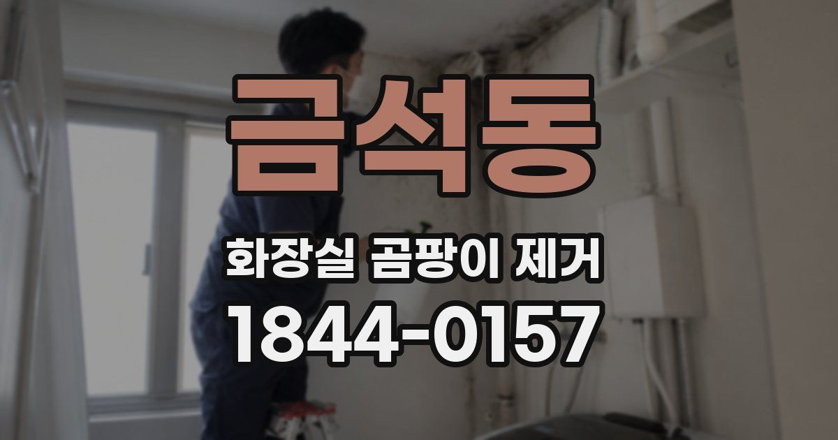 금석동 화장실 곰팡이 제거