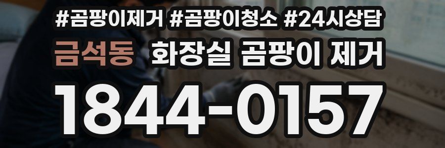 금석동 화장실 곰팡이 제거