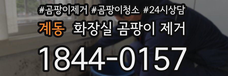 계동 화장실 곰팡이 제거