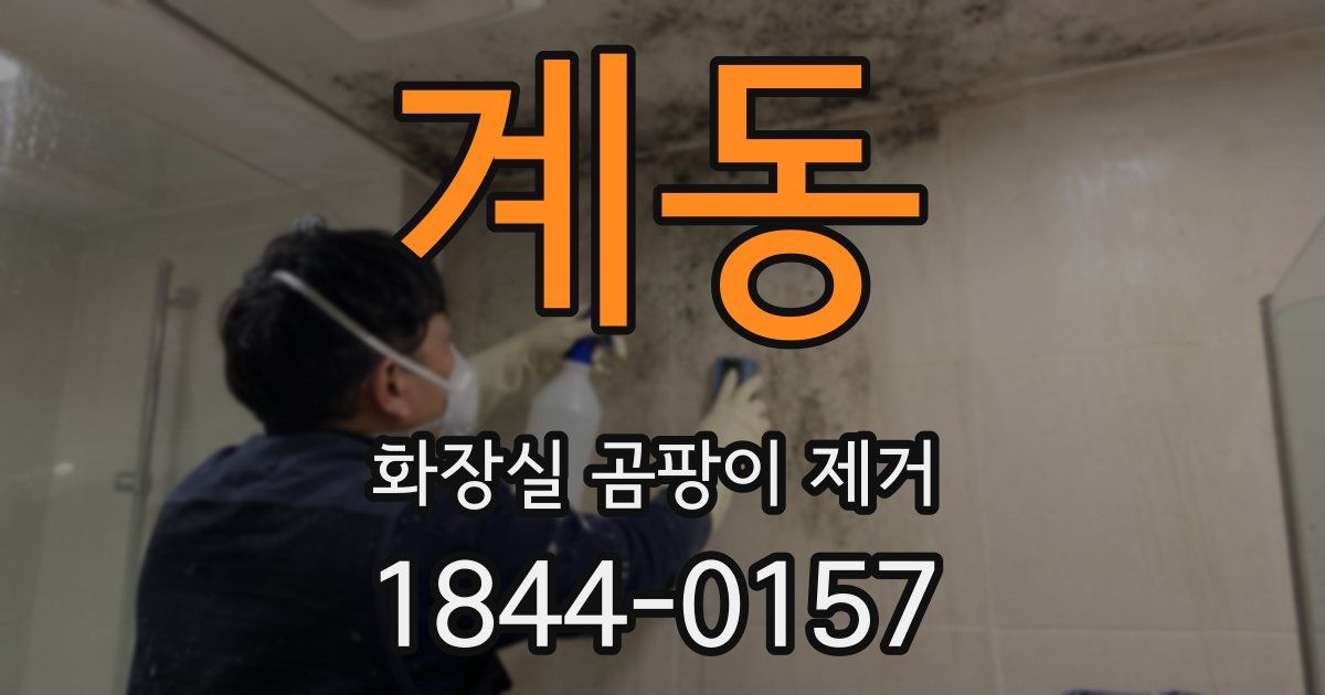 계동 화장실 곰팡이 제거