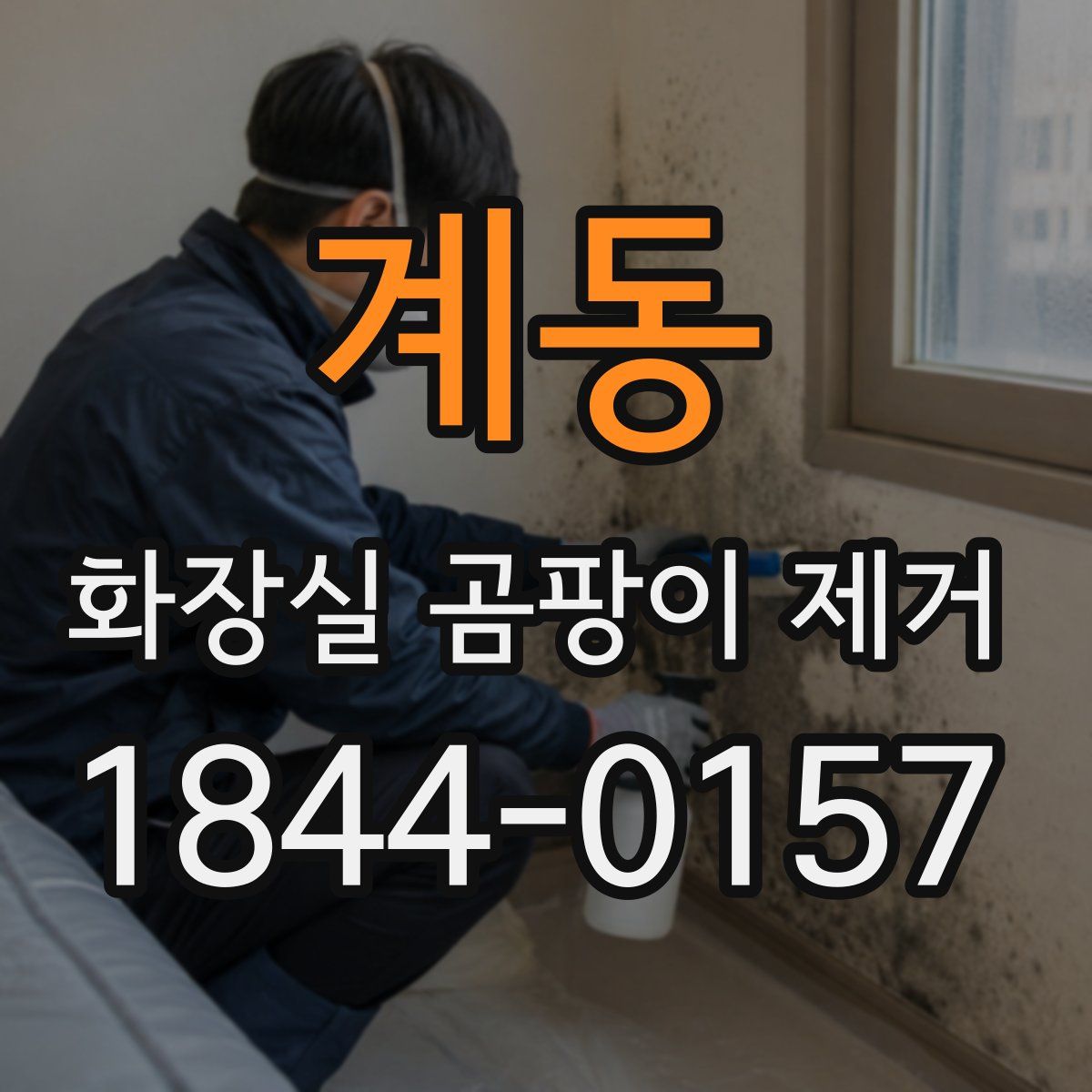 계동 화장실 곰팡이 제거