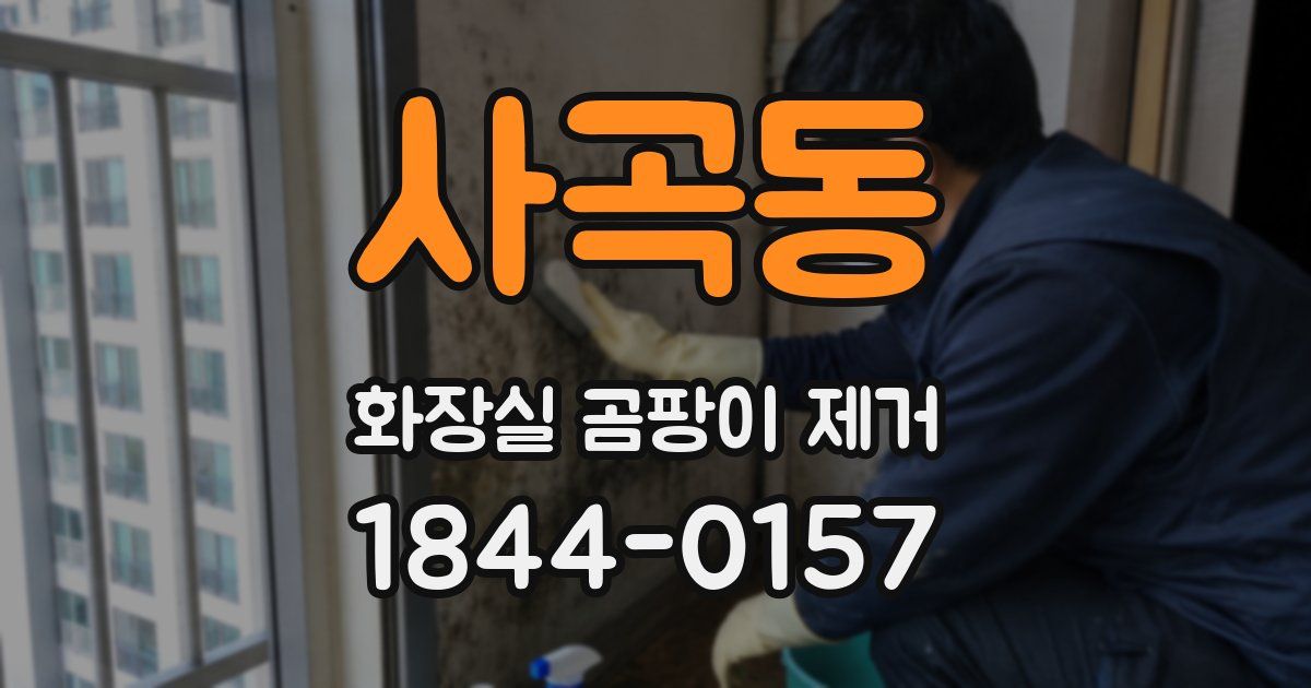 사곡동 화장실 곰팡이 제거