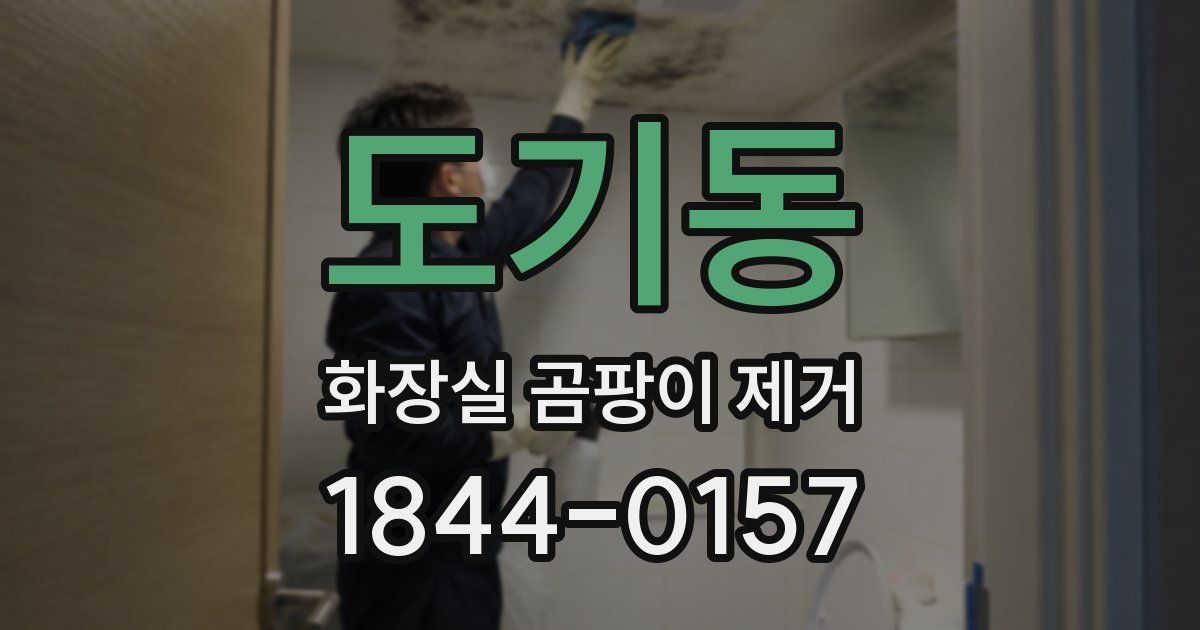 도기동 화장실 곰팡이 제거