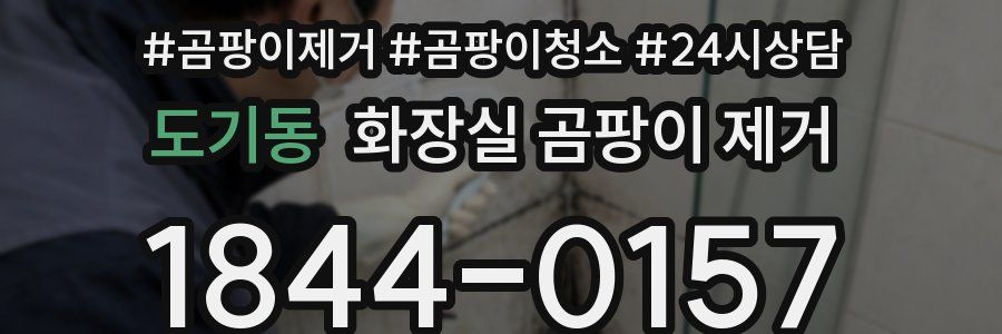 도기동 화장실 곰팡이 제거