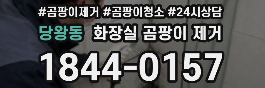당왕동 화장실 곰팡이 제거