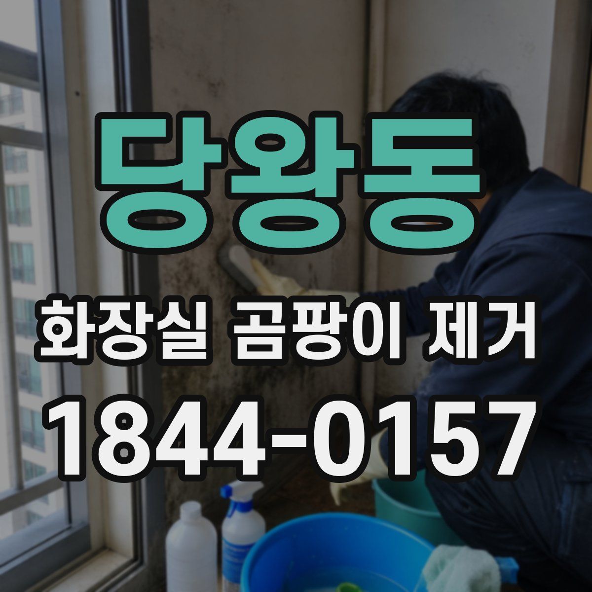 당왕동 화장실 곰팡이 제거