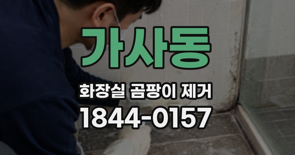 가사동 화장실 곰팡이 제거
