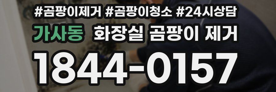 가사동 화장실 곰팡이 제거