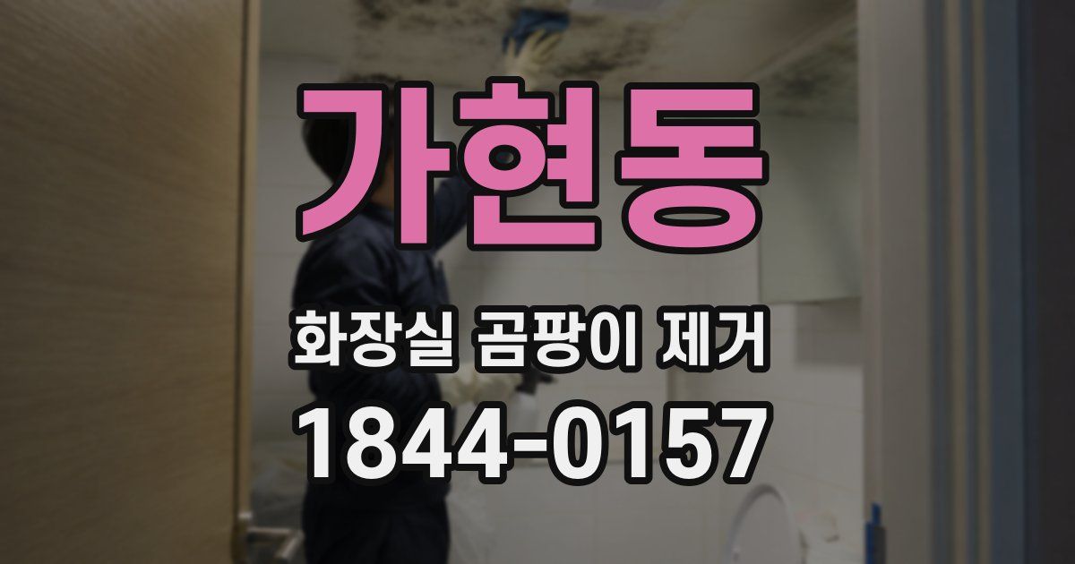 가현동 화장실 곰팡이 제거