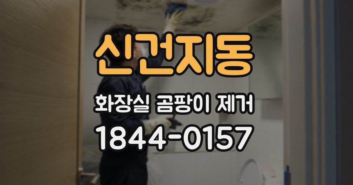 신건지동 화장실 곰팡이 제거