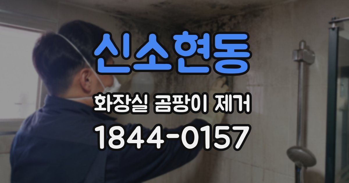 신소현동 화장실 곰팡이 제거