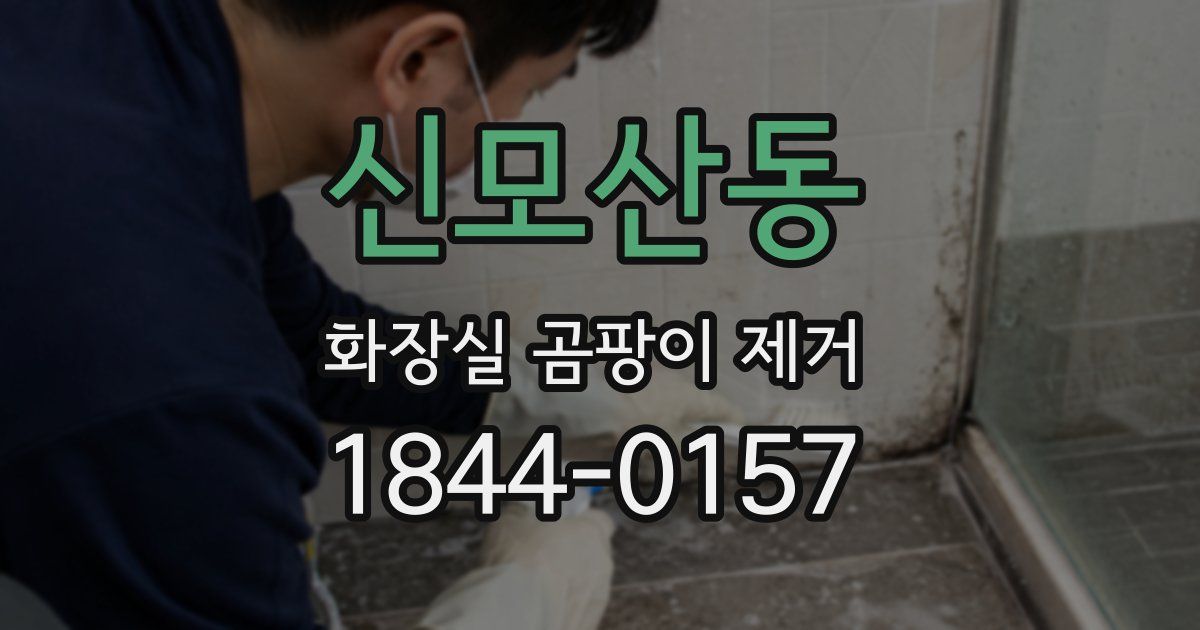 신모산동 화장실 곰팡이 제거