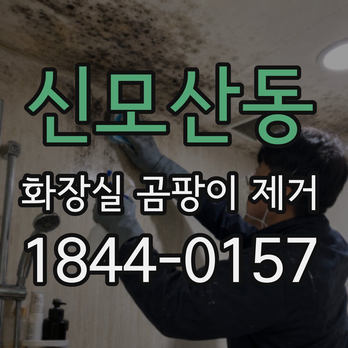 신모산동 화장실 곰팡이 제거