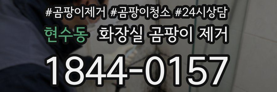 현수동 화장실 곰팡이 제거