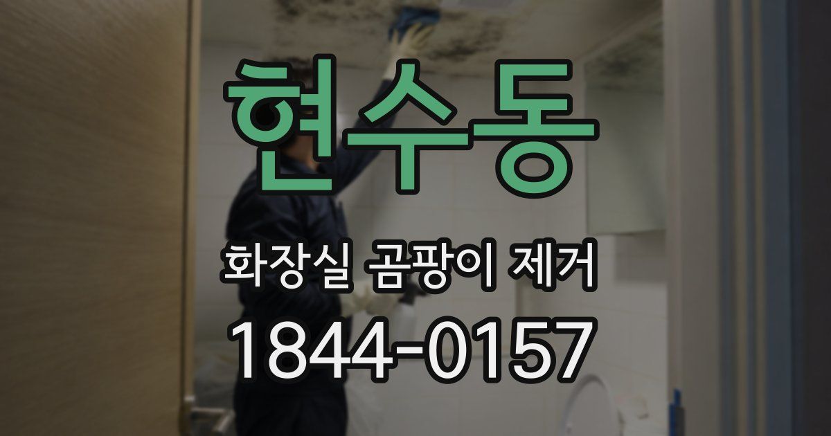 현수동 화장실 곰팡이 제거