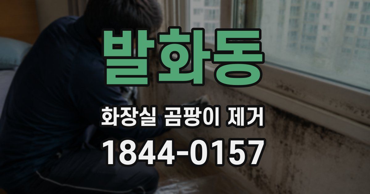 발화동 화장실 곰팡이 제거