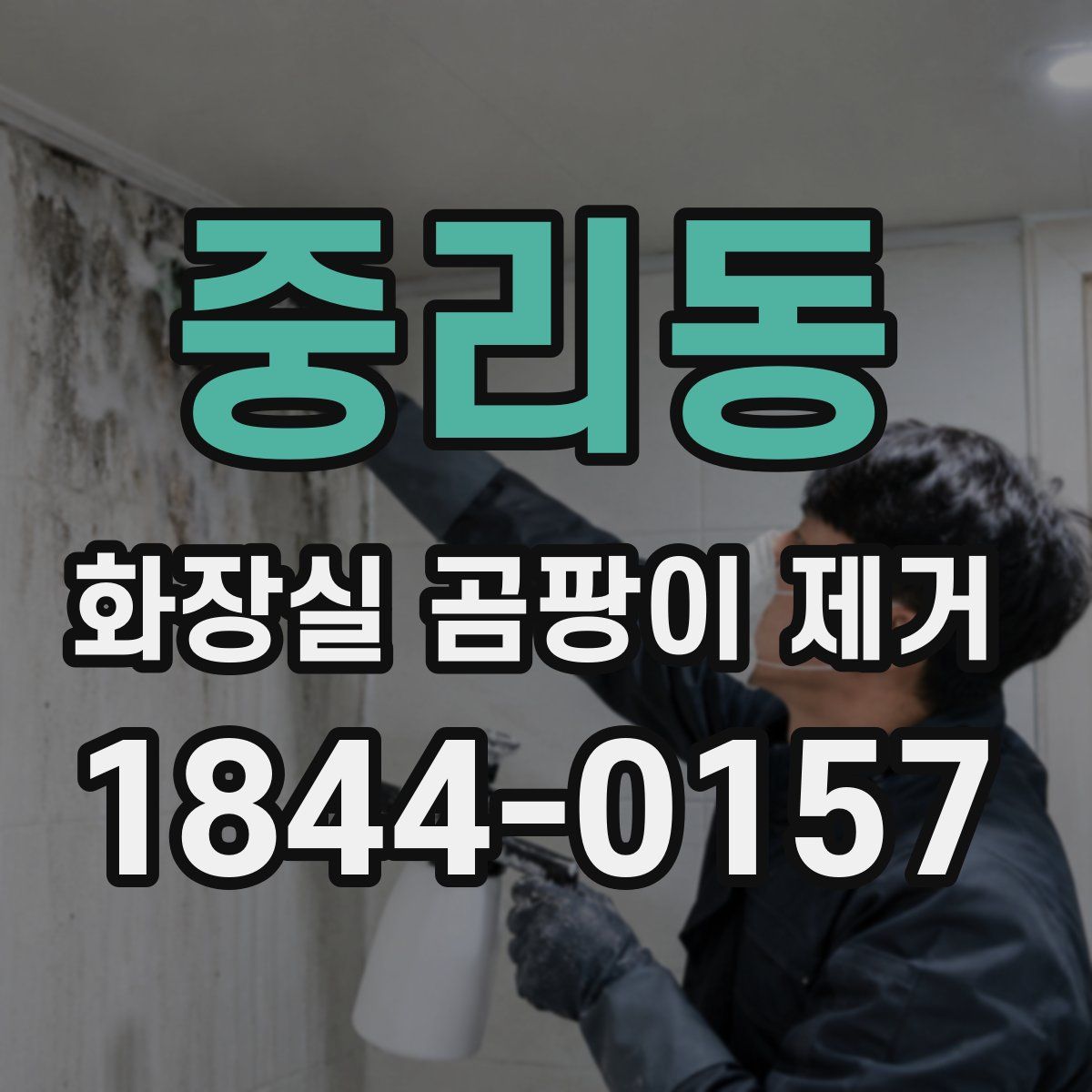 중리동 화장실 곰팡이 제거