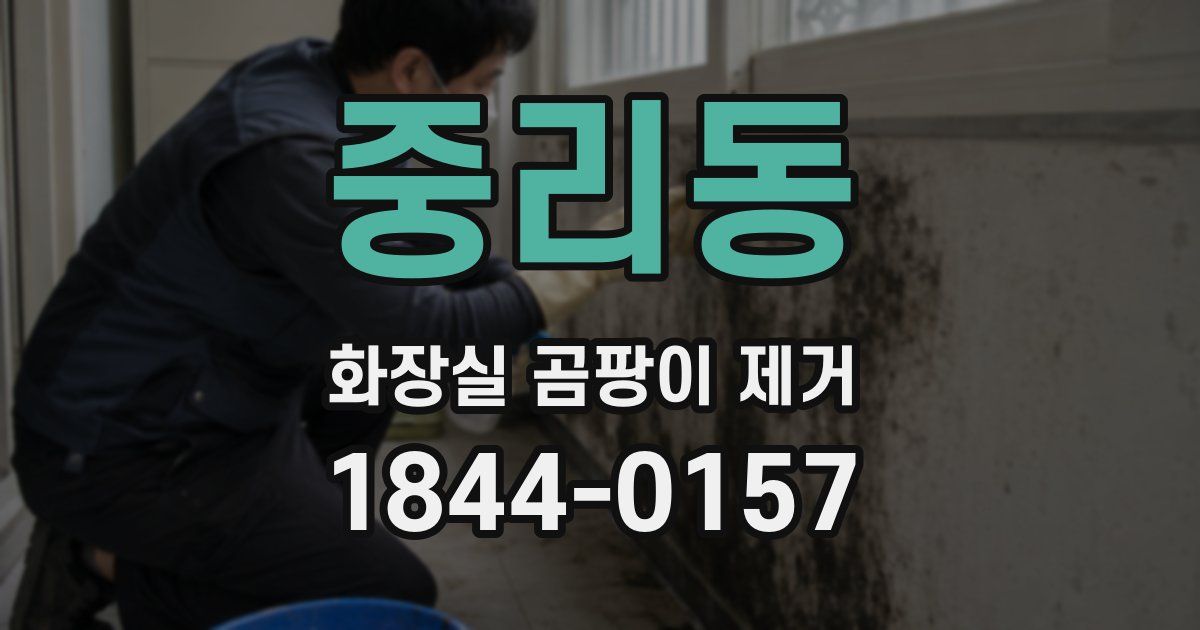 중리동 화장실 곰팡이 제거