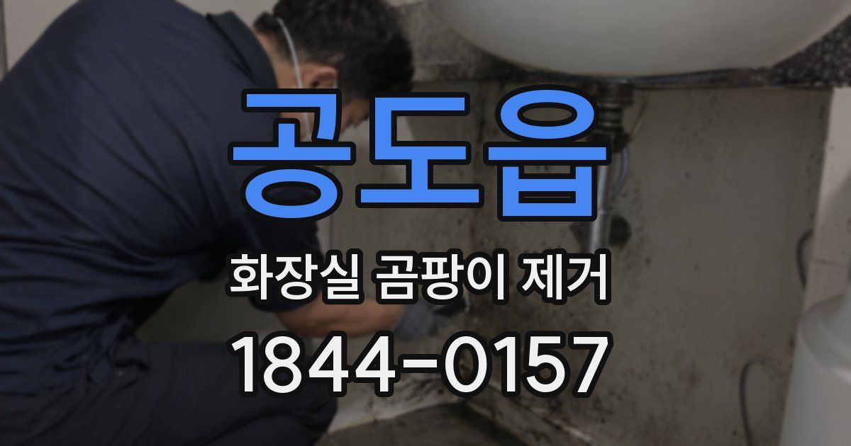 공도읍 화장실 곰팡이 제거