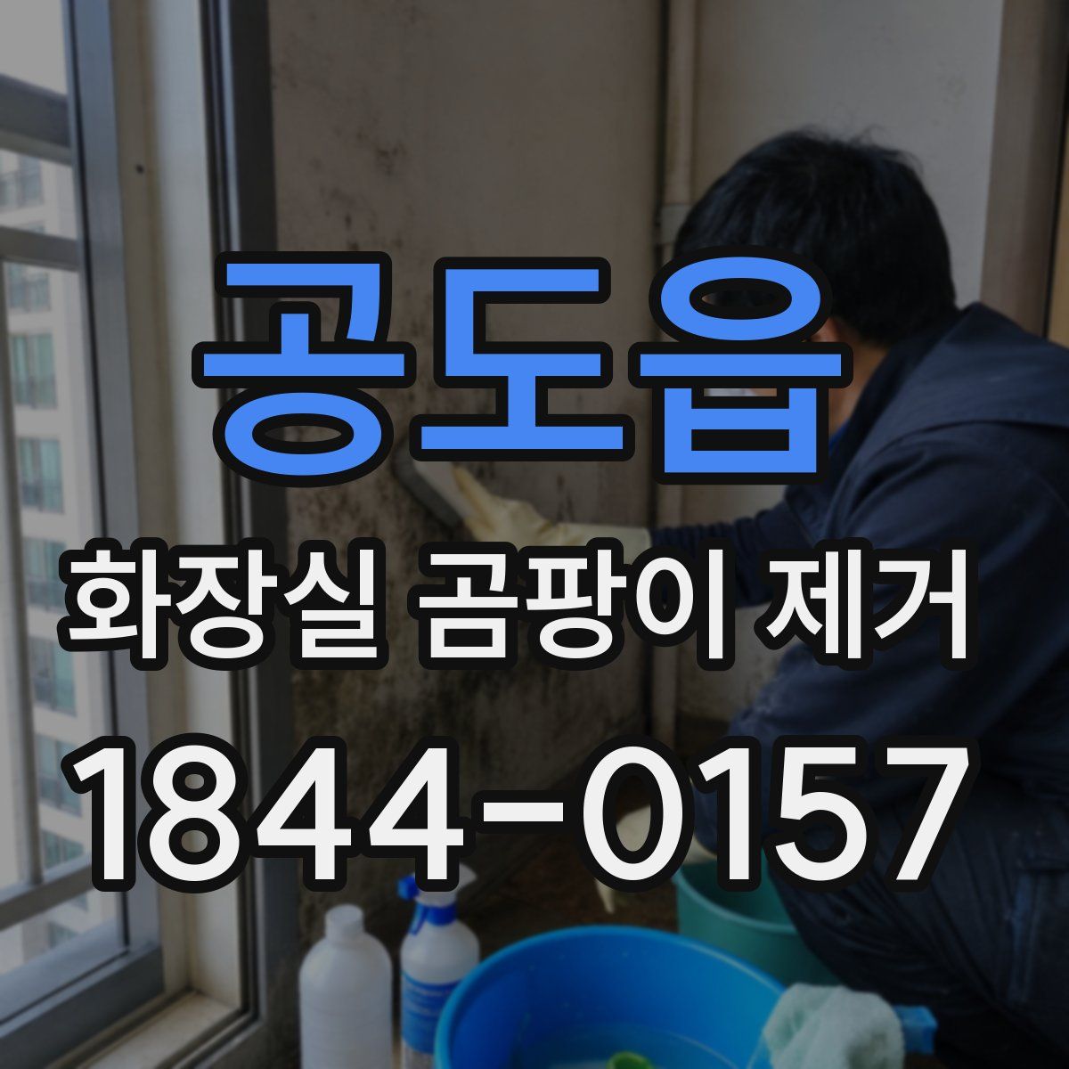 공도읍 화장실 곰팡이 제거