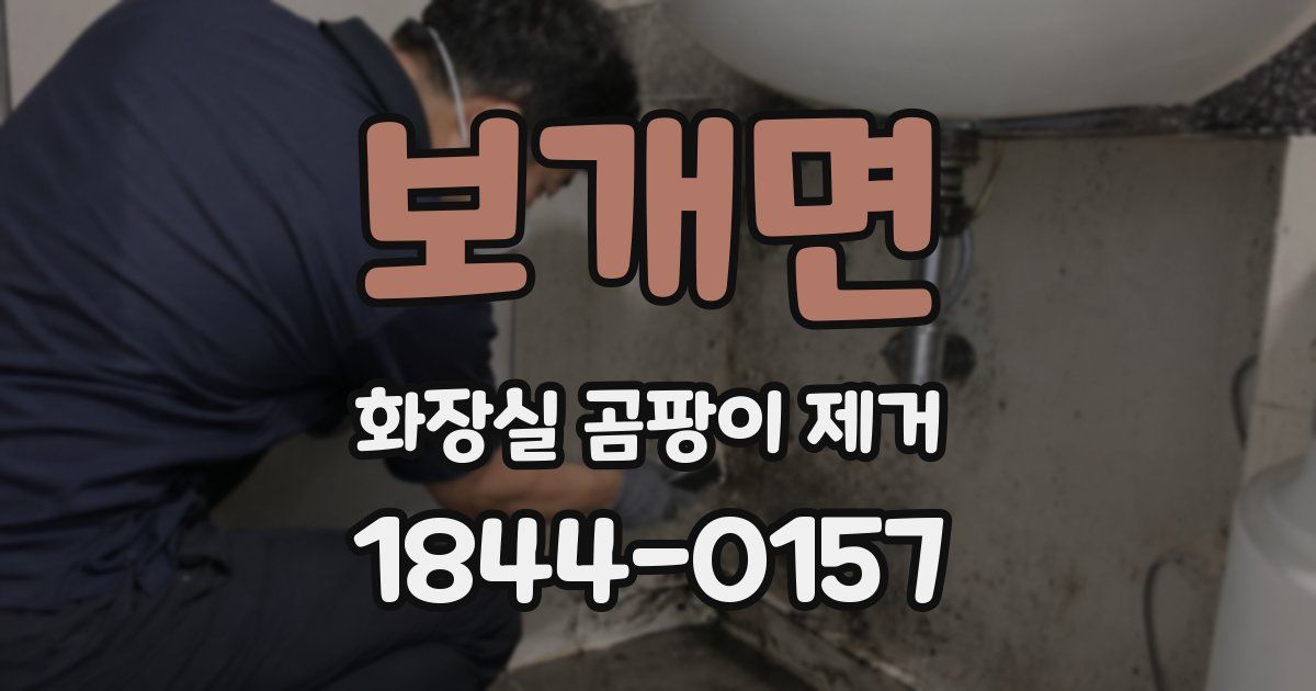 보개면 화장실 곰팡이 제거