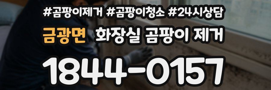 금광면 화장실 곰팡이 제거