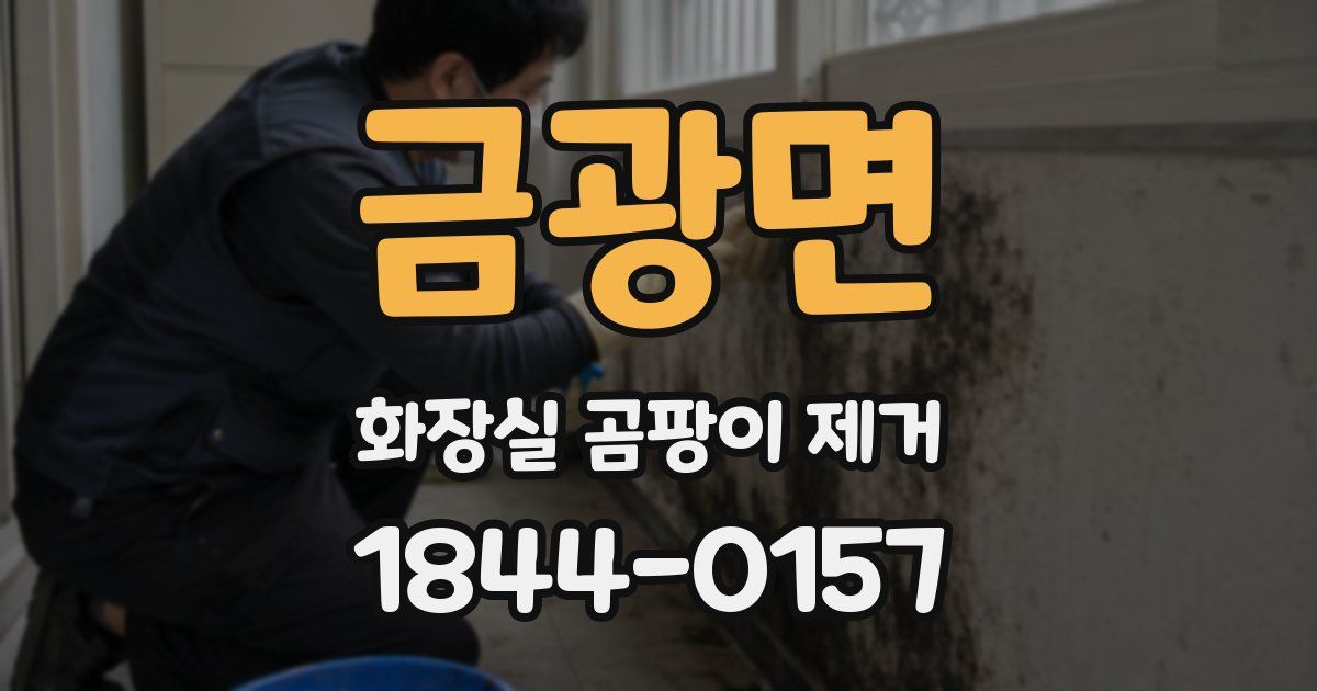 금광면 화장실 곰팡이 제거