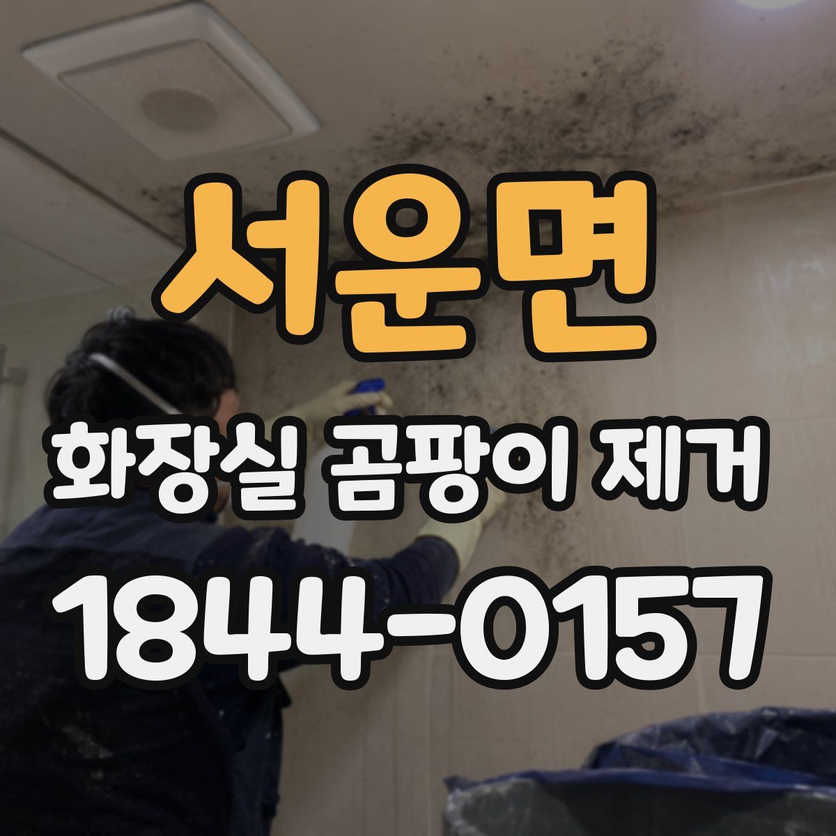 서운면 화장실 곰팡이 제거