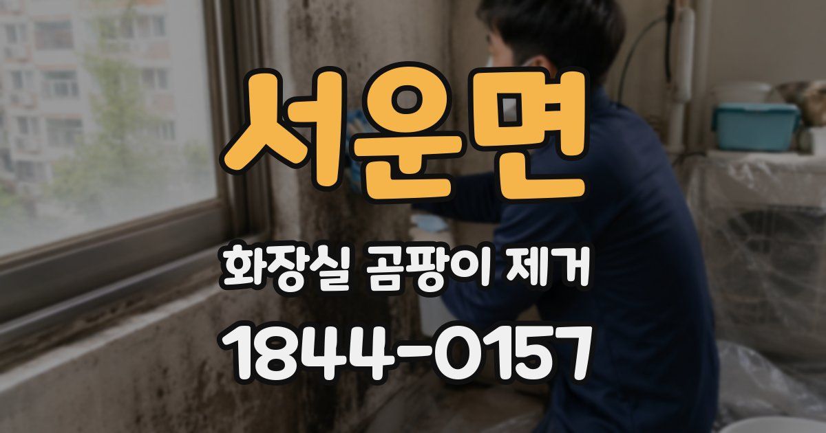 서운면 화장실 곰팡이 제거